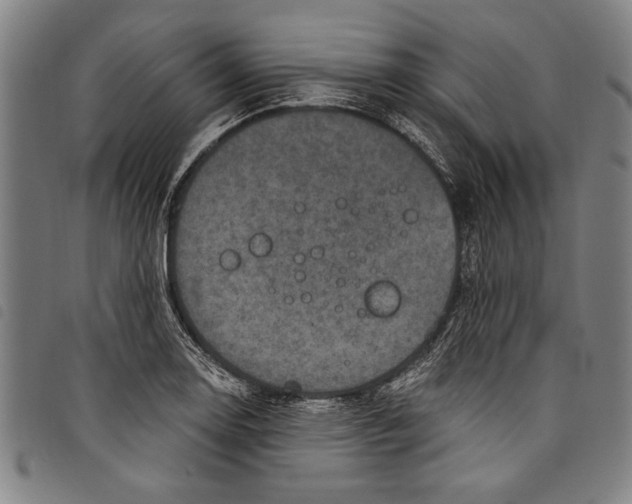 X0000097761130200804041119