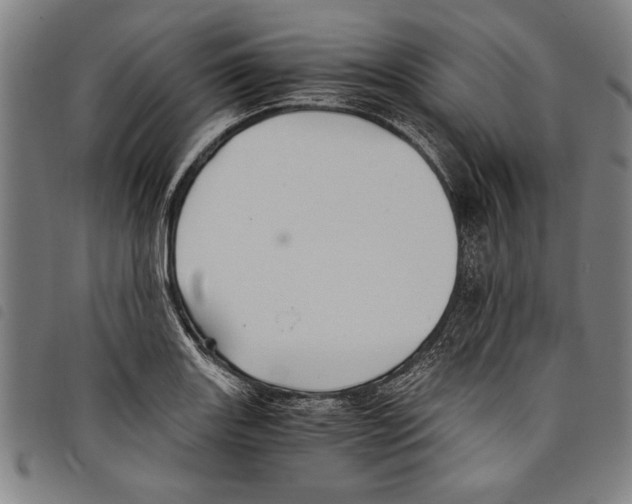 X0000097761131200804041119