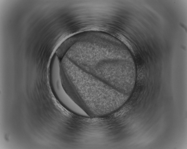 X0000097761132200804041119