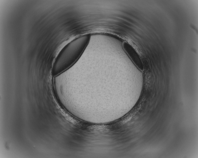 X0000097761134200804041120