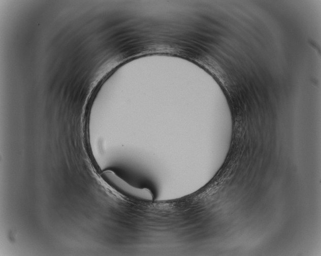 X0000097761135200804041120