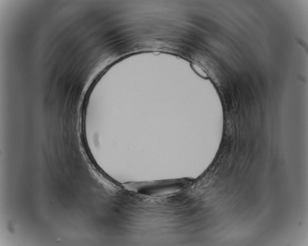 X0000097761136200804041120