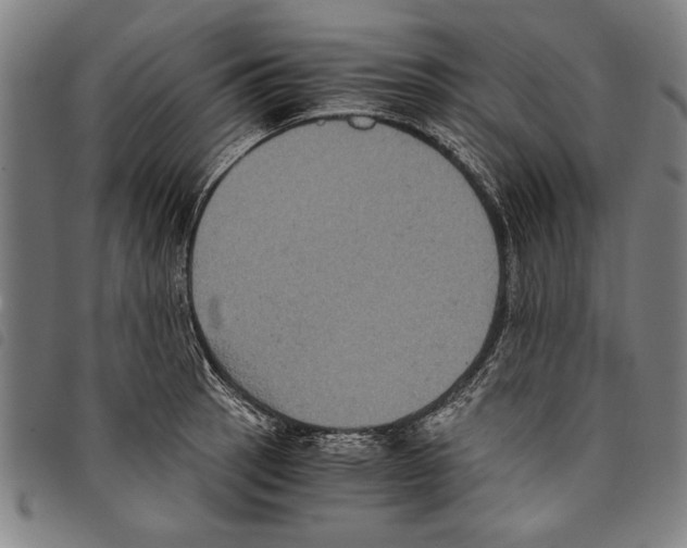 X0000097761137200804041120