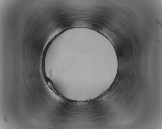 X0000097761139200804041120