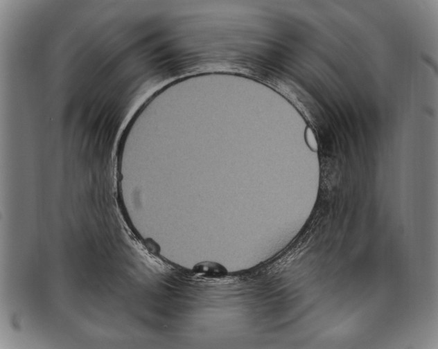 X0000097761140200804041120