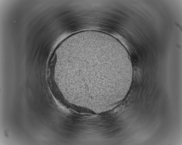 X0000097761143200804041120