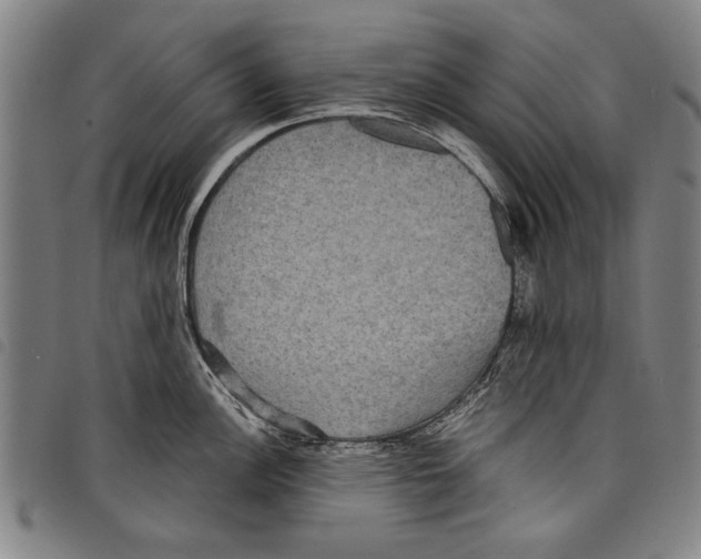 X0000097761148200804041120