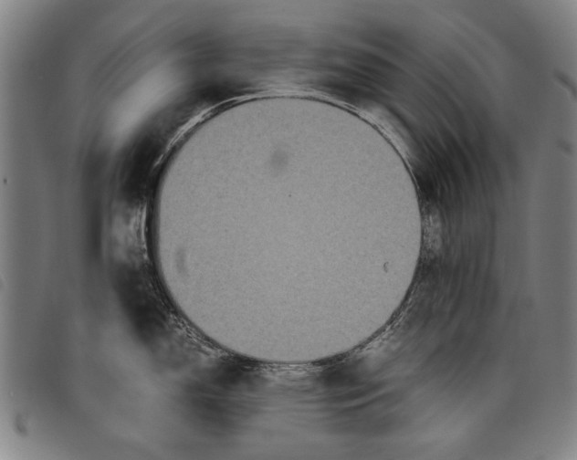 X0000097761150200804041120