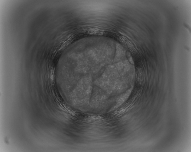 X0000097761154200804041119