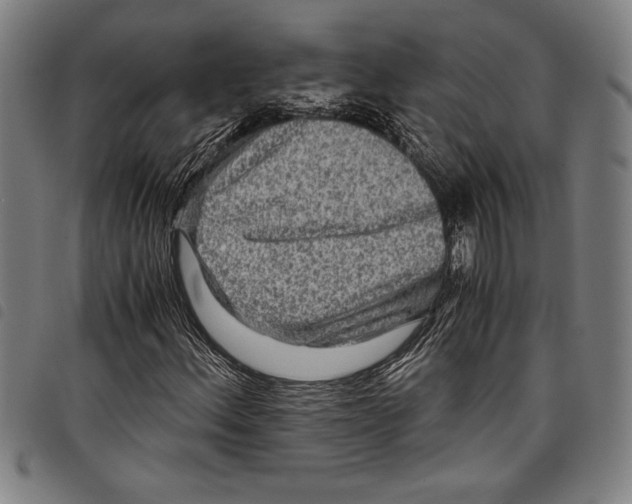 X0000097761156200804041119