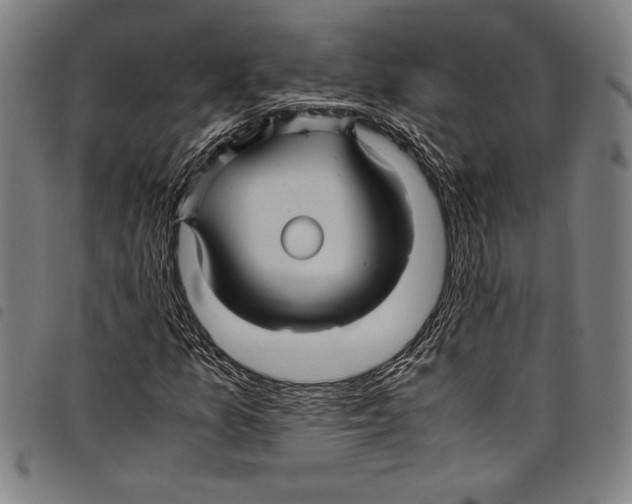 X0000097761157200804041119