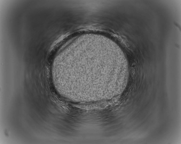 X0000097761159200804041119