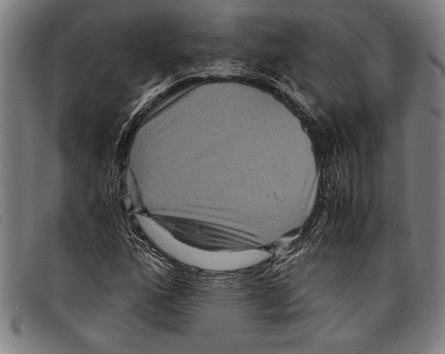 X0000097761160200804041119