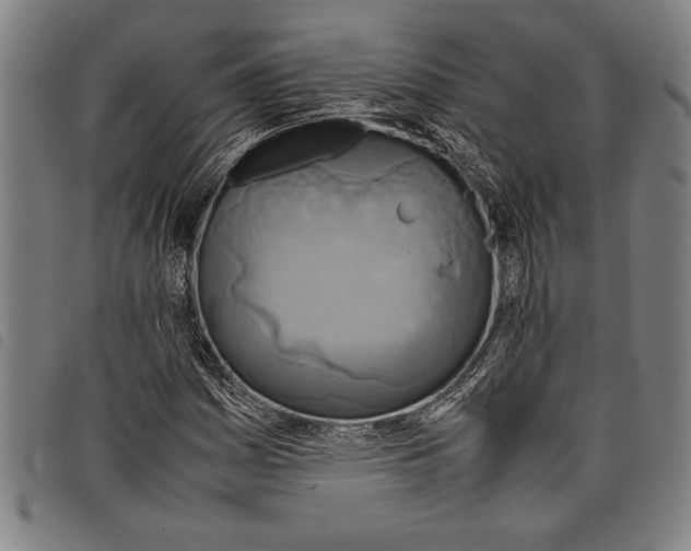 X0000097761161200804041119