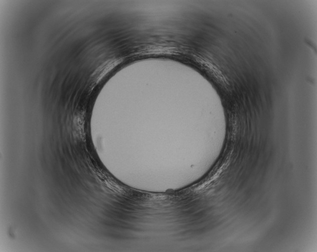 X0000097761162200804041119