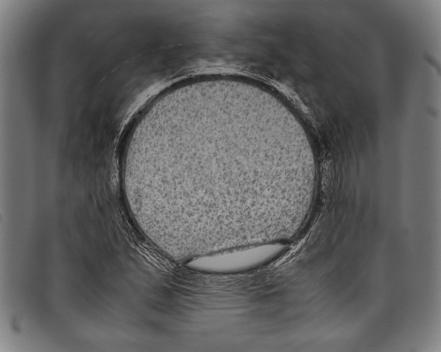 X0000097761167200804041119