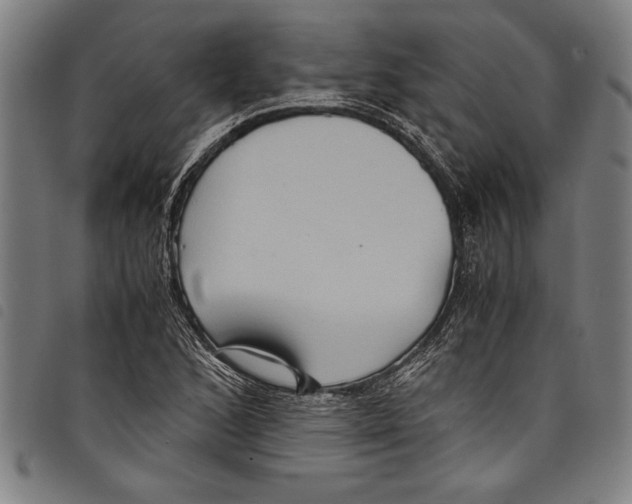 X0000097761168200804041119