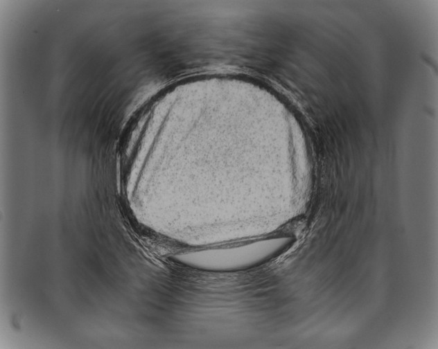 X0000097761171200804041119