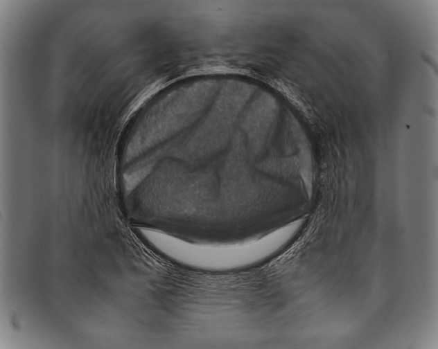 X0000097761173200804041119