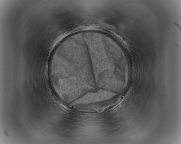 X0000097761174200804041119