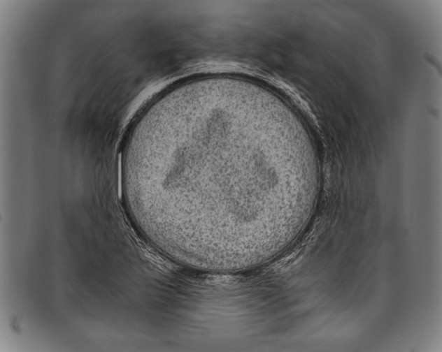 X0000097761175200804041119