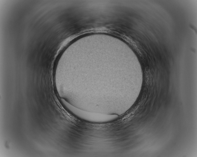 X0000097761176200804041119