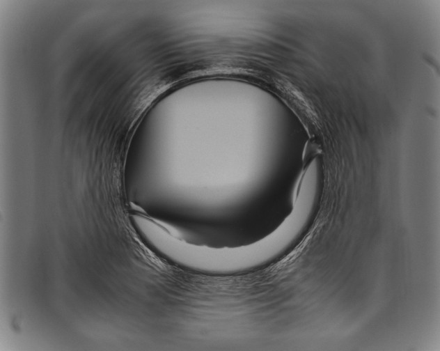 X0000097761177200804041119