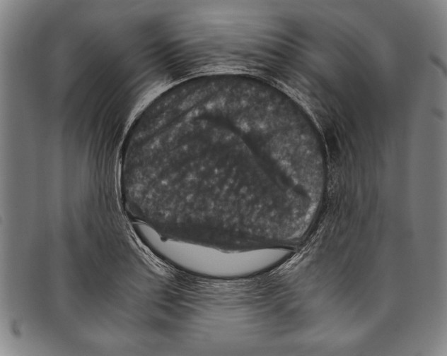 X0000097761179200804041119