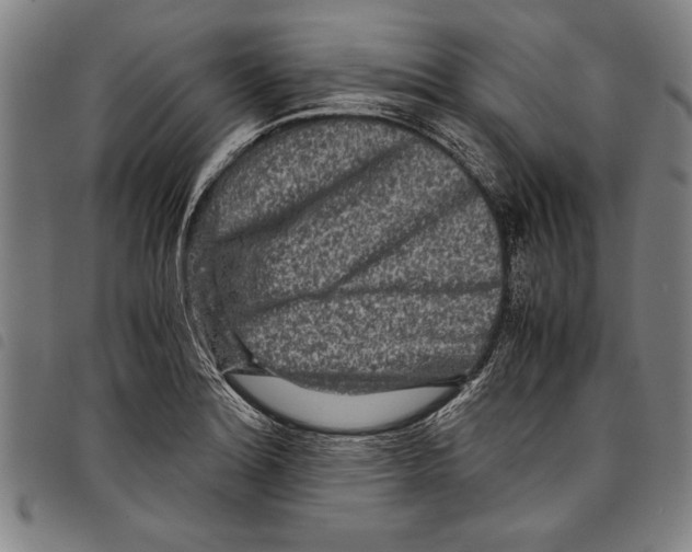 X0000097761180200804041119