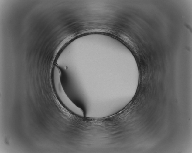 X0000097761181200804041119