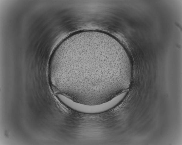 X0000097761183200804041119