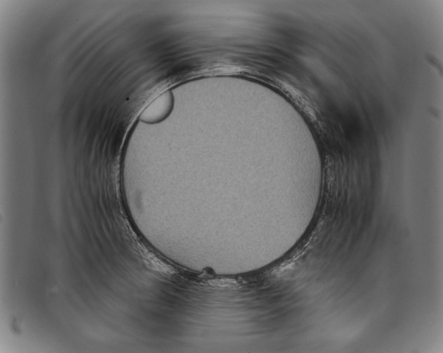 X0000097761186200804041119