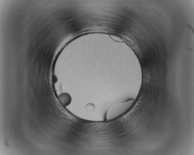 X0000097761188200804041119