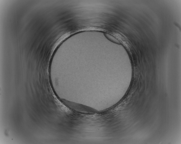 X0000097761189200804041119