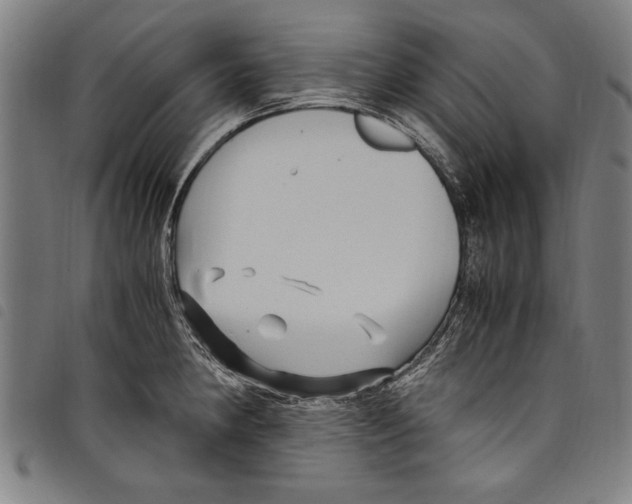 X0000097761190200804041119