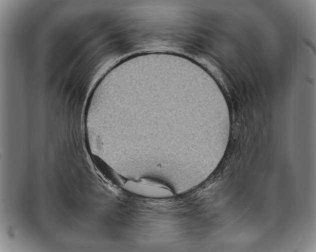 X0000097761191200804041119