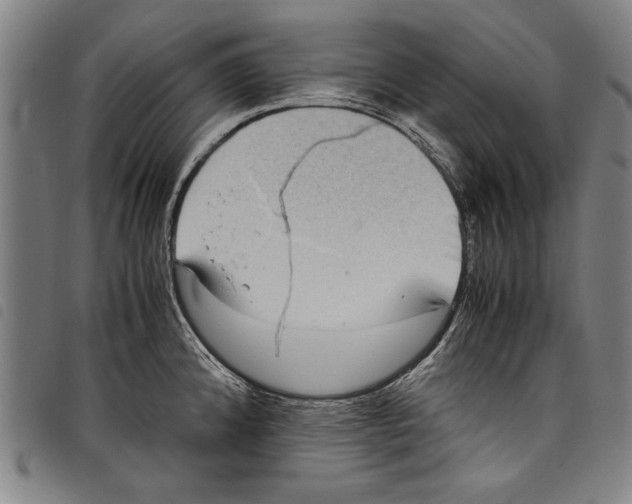 X0000097761192200804041119