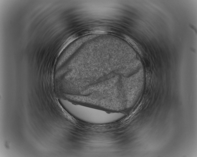 X0000097761194200804041119