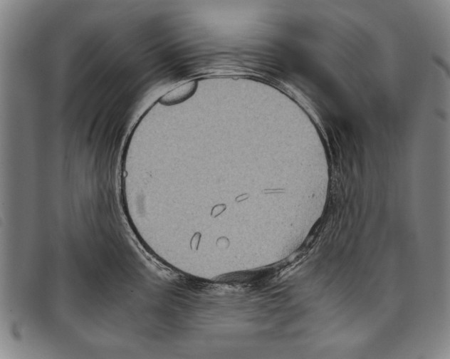 X0000097761195200804041119