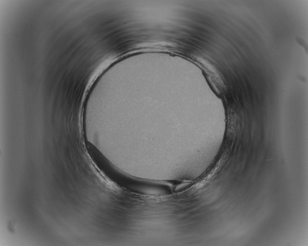 X0000097761196200804041119