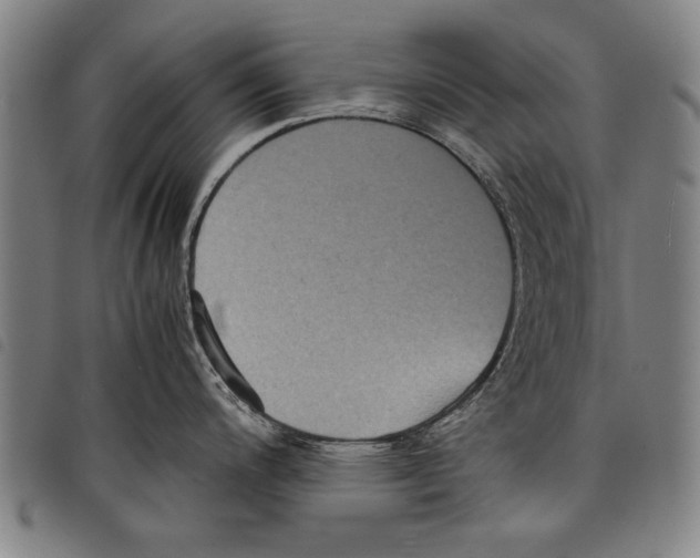 X0000097761200200804041118