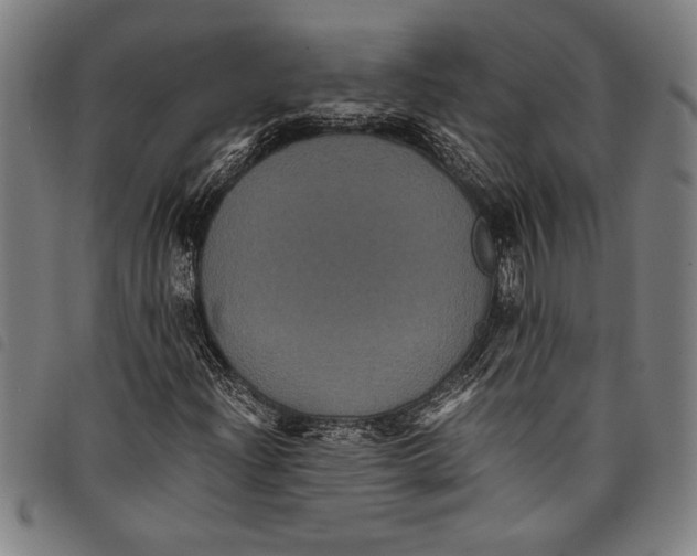 X0000097761204200804041118