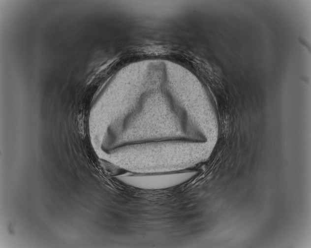 X0000097761205200804041118