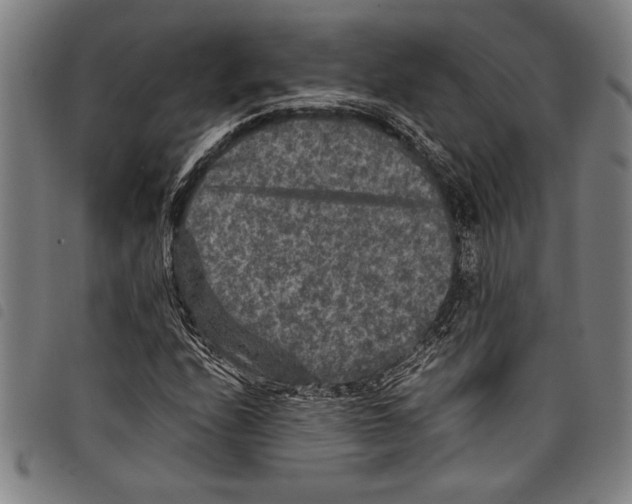 X0000097761208200804041118