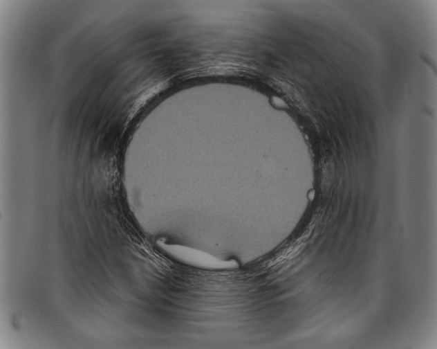 X0000097761210200804041118