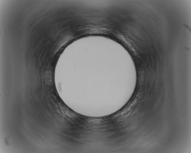 X0000097761211200804041118