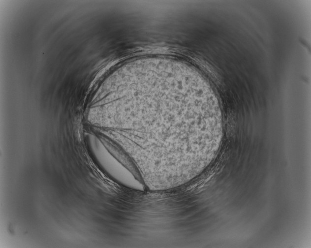 X0000097761212200804041118