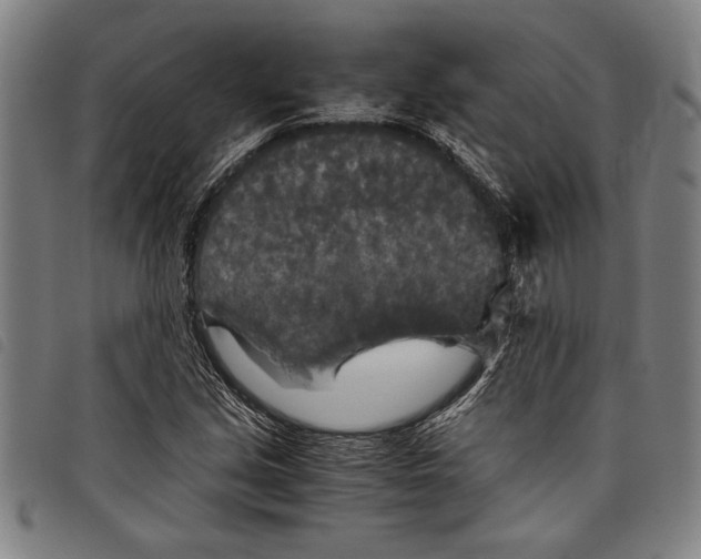 X0000097761213200804041118