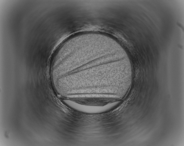 X0000097761216200804041118