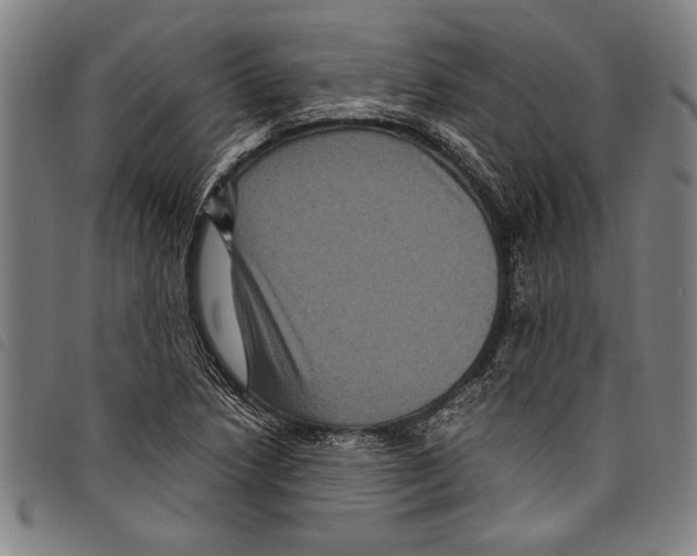 X0000097761218200804041118